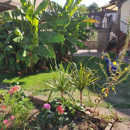 Hecker Alsace Tatil Evi Niedersteinbach