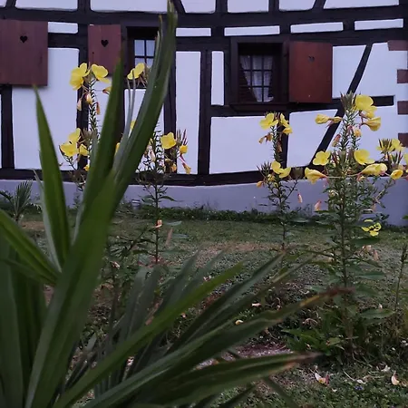 Dom wakacyjny Hecker Alsace *