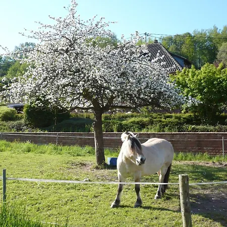 Hecker Alsace Tatil Evi
