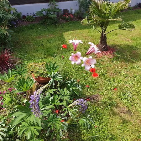 Tatil Evi Hecker Alsace