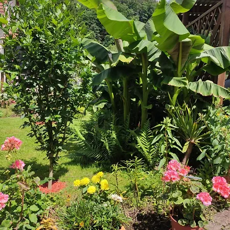 Tatil Evi Hecker Alsace