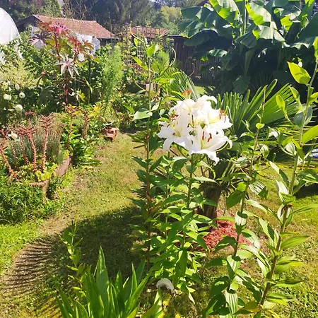 Hecker Alsace Tatil Evi Niedersteinbach