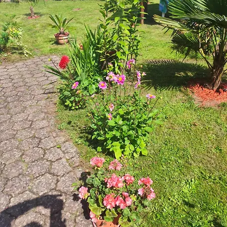 Hecker Alsace * Niedersteinbach