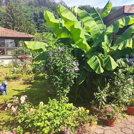 Hecker Alsace Tatil Evi Niedersteinbach