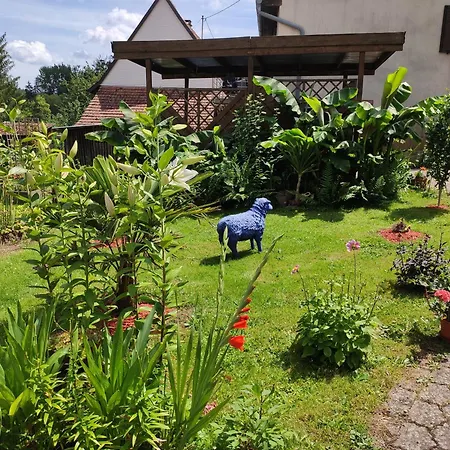 Dom wakacyjny Hecker Alsace Niedersteinbach