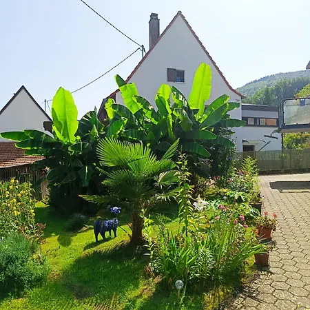 Tatil Evi Hecker Alsace Niedersteinbach