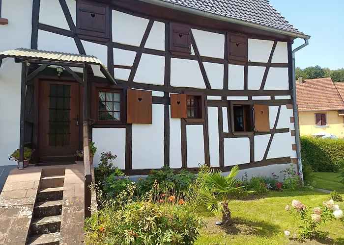 Hecker Alsace * Niedersteinbach