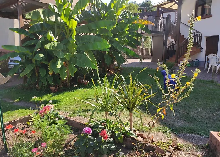 Hecker Alsace Semesterbostad Niedersteinbach