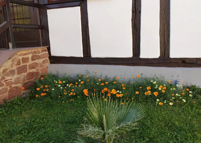 Hecker Alsace Semesterbostad Niedersteinbach