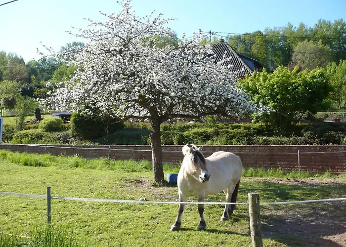 Hecker Alsace Semesterbostad