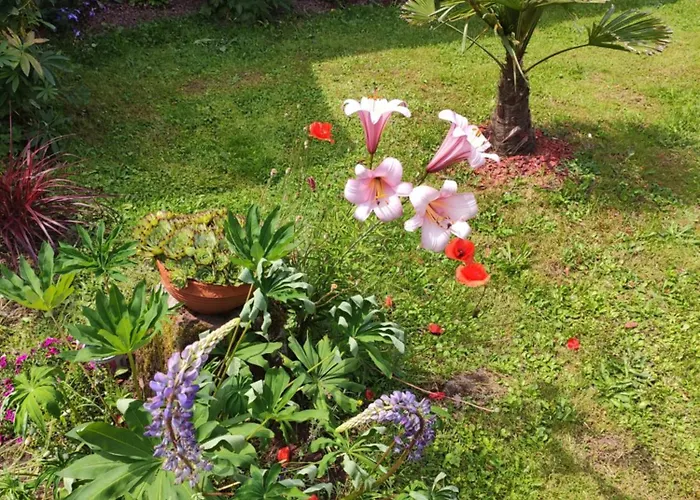 Semesterbostad Hecker Alsace