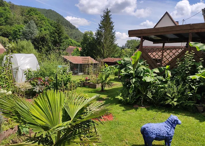 Hecker Alsace Niedersteinbach