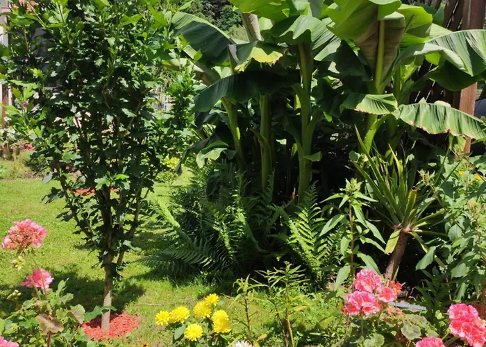 Semesterbostad Hecker Alsace