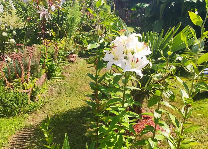 Hecker Alsace Semesterbostad Niedersteinbach