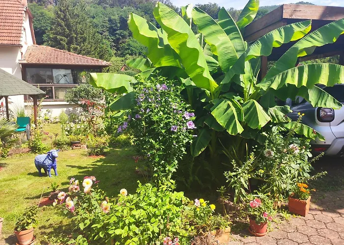 Hecker Alsace Semesterbostad Niedersteinbach