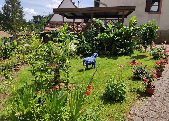 Semesterbostad Hecker Alsace Niedersteinbach