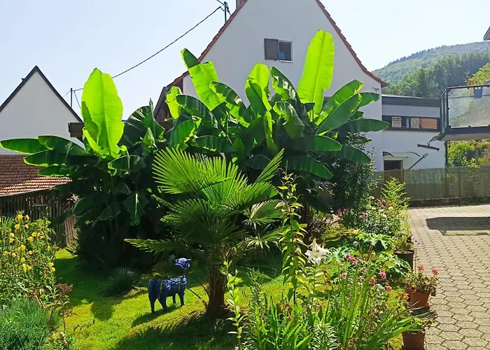 Semesterbostad Hecker Alsace Niedersteinbach