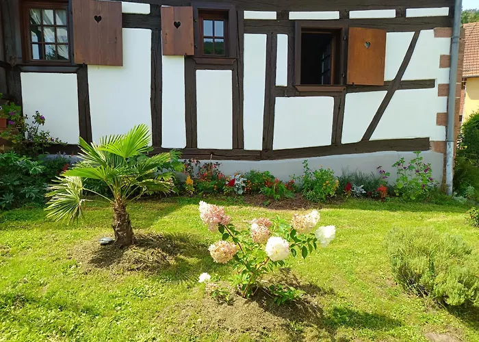 Hecker Alsace Semesterbostad *